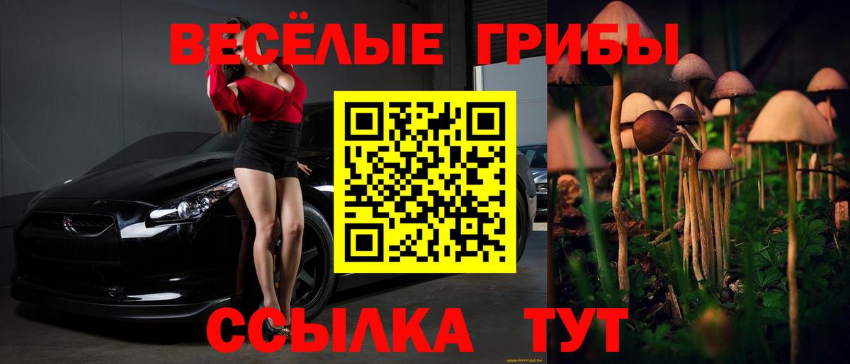 Галлюциногенные грибы MAGIC MUSHROOMS Бутурлиновка